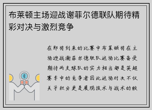 布莱顿主场迎战谢菲尔德联队期待精彩对决与激烈竞争