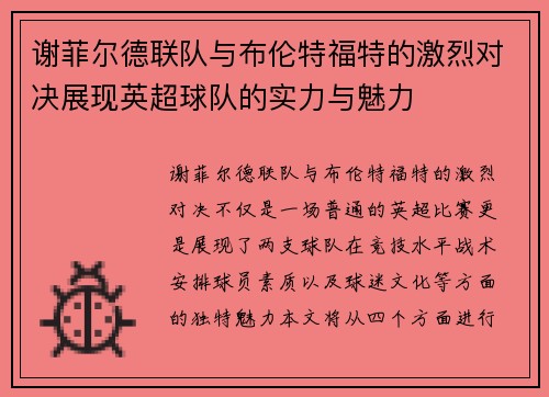 谢菲尔德联队与布伦特福特的激烈对决展现英超球队的实力与魅力