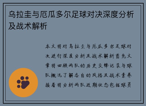 乌拉圭与厄瓜多尔足球对决深度分析及战术解析