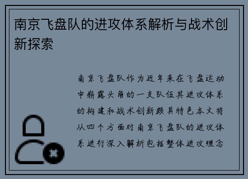 南京飞盘队的进攻体系解析与战术创新探索