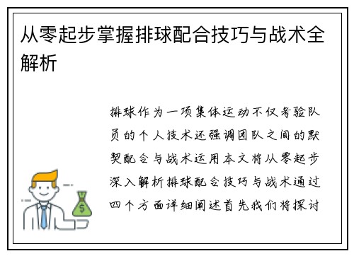 从零起步掌握排球配合技巧与战术全解析