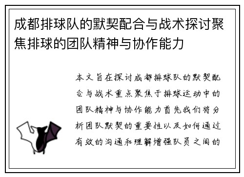 成都排球队的默契配合与战术探讨聚焦排球的团队精神与协作能力